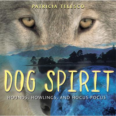 Dog Spirit