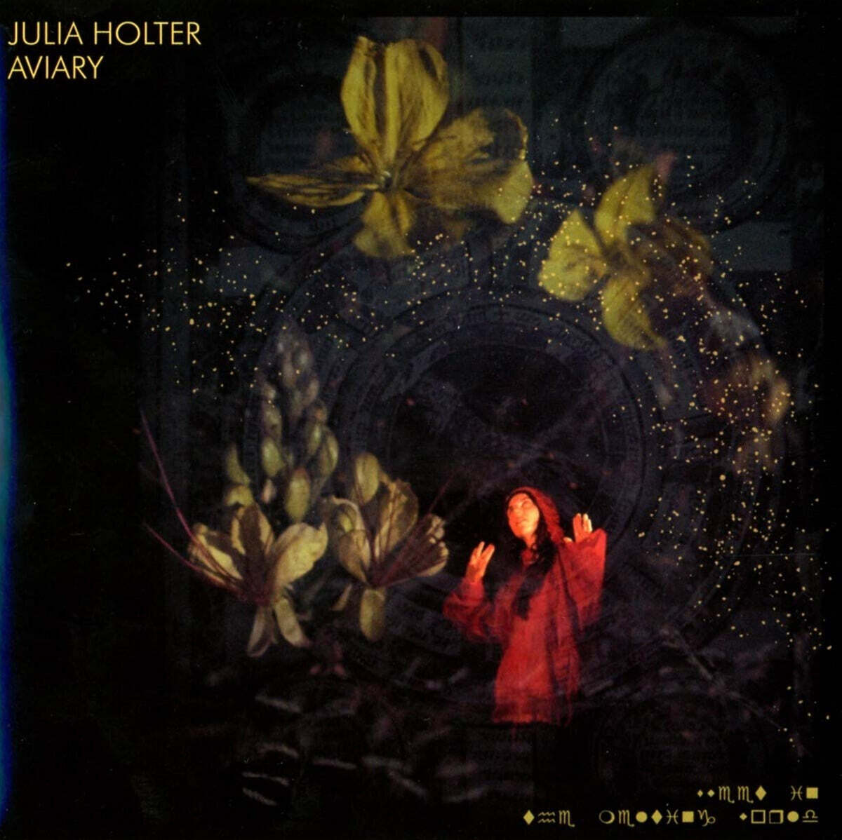 Julia Holter (줄리아 홀터) - 5집 Aviary
