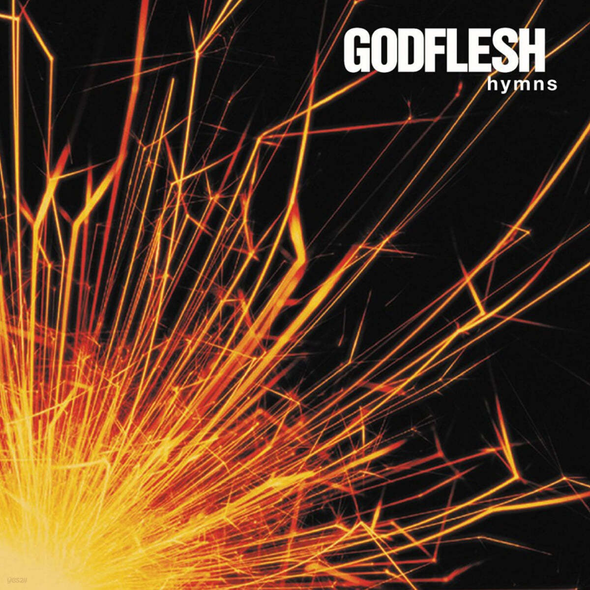 Godflesh - Hymns [실버 앤 블랙 마블 컬러 2LP]