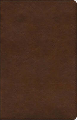 ESV Spanish/English Parallel Bible (La Santa Biblia Rvr 1960 / The Holy Bible Esv, Trutone, Brown)