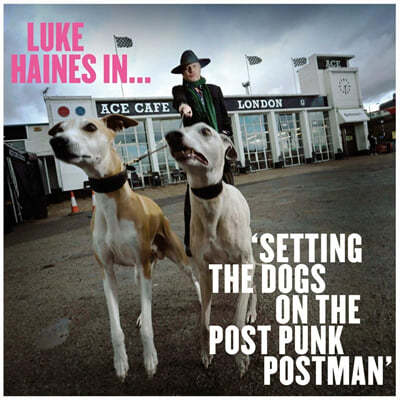 Luke Haines (ũ ) - Luke Haines In... Setting The Dogs On The Post Punk Postman 