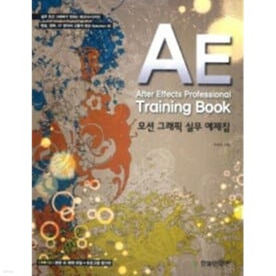 AFTER EFFECTS PROFESSIONAL TRAINING BOOK 모션 그래픽 실무 예제집 /(CD 없음)