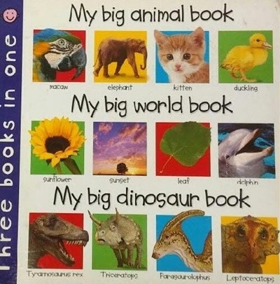 3 in 1 My big animal, world, dinosaur book 