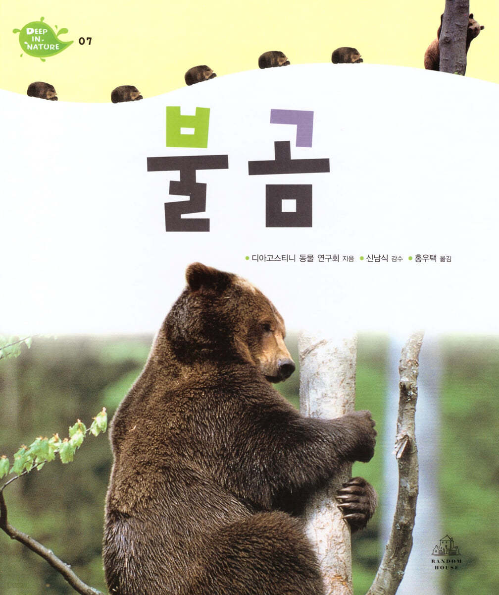 불곰
