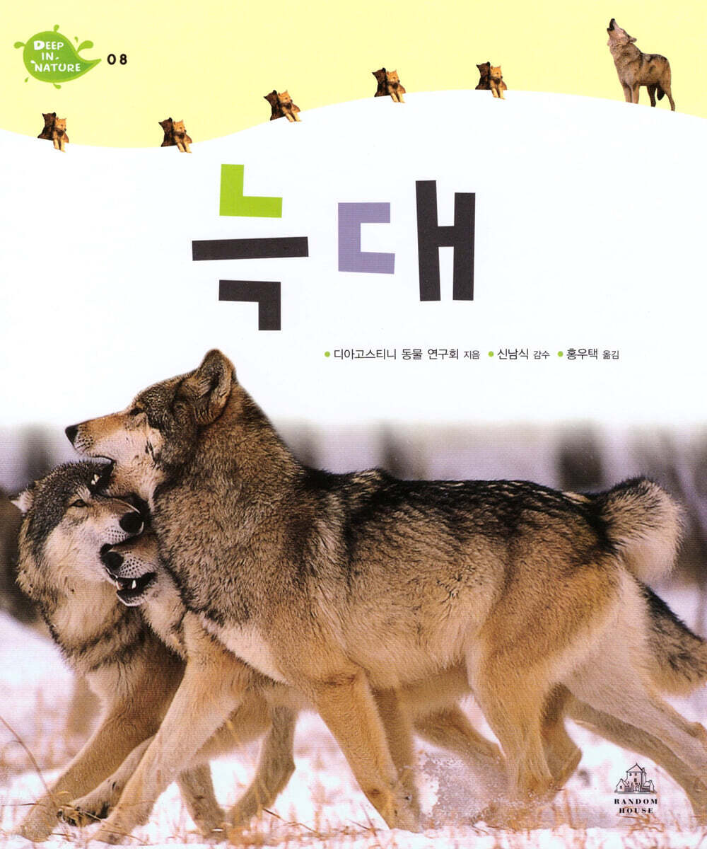 늑대