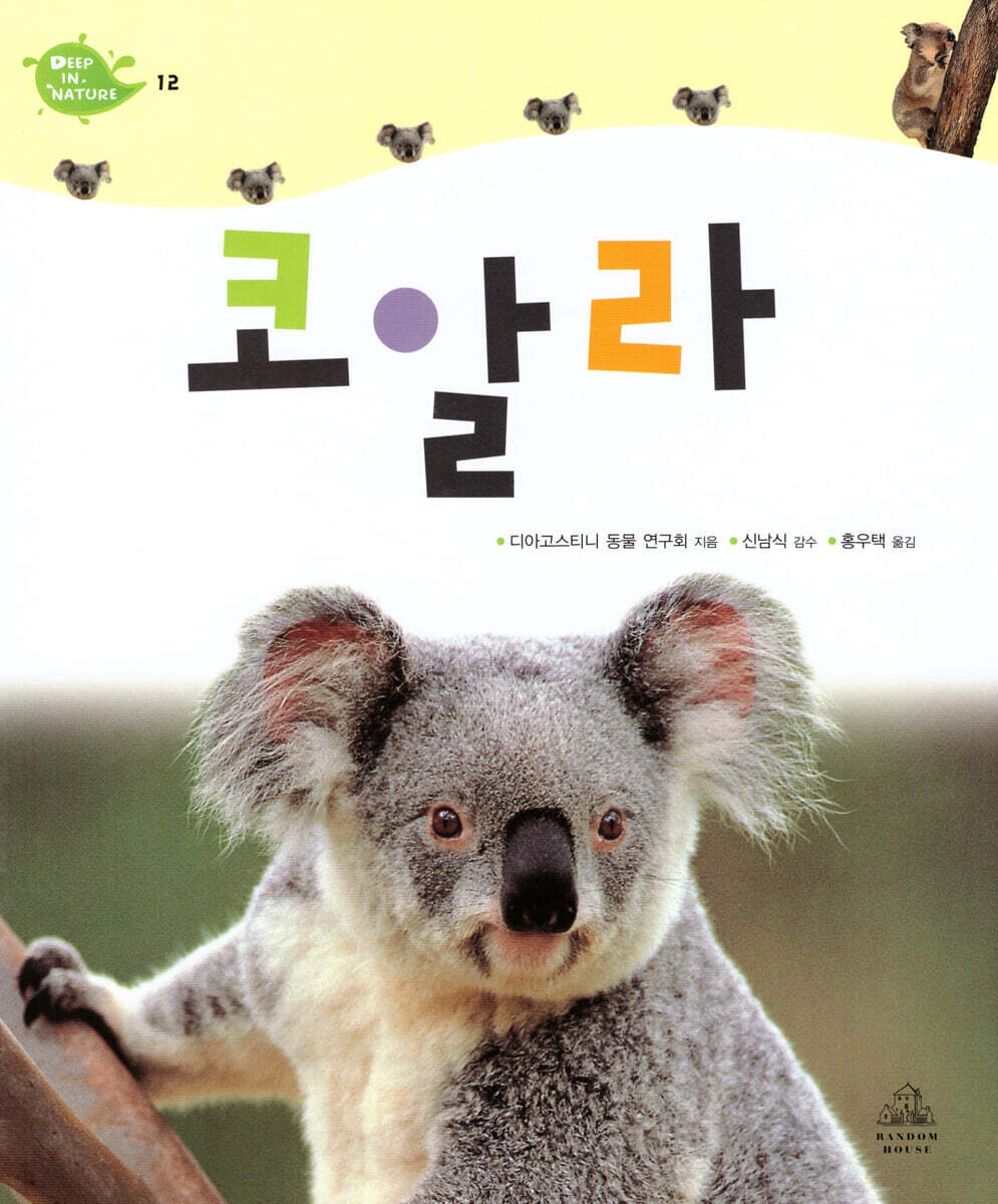 코알라