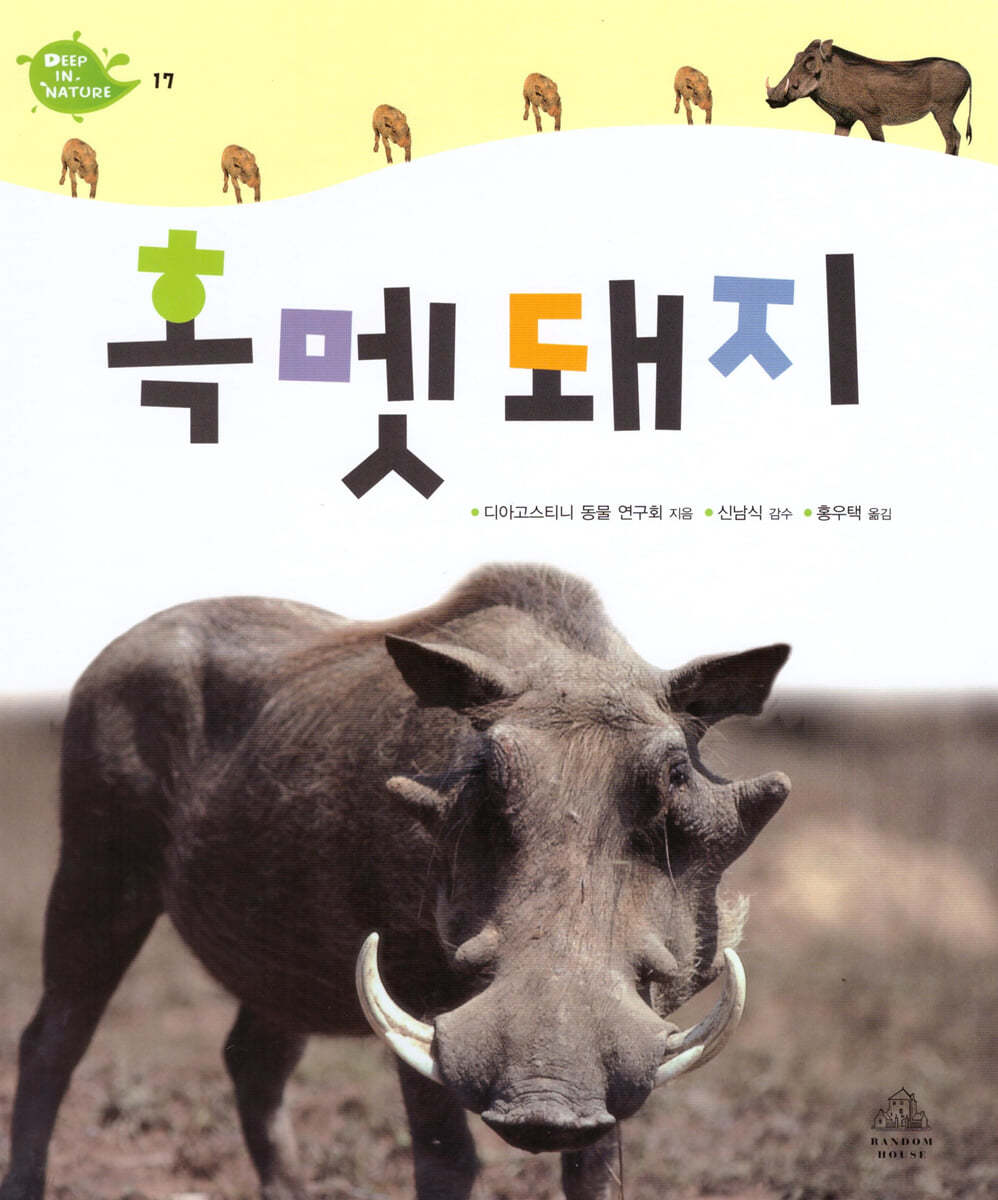 흑멧돼지