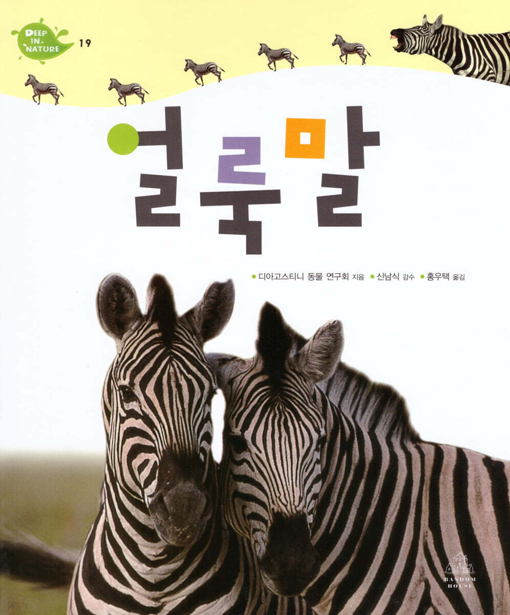 얼룩말
