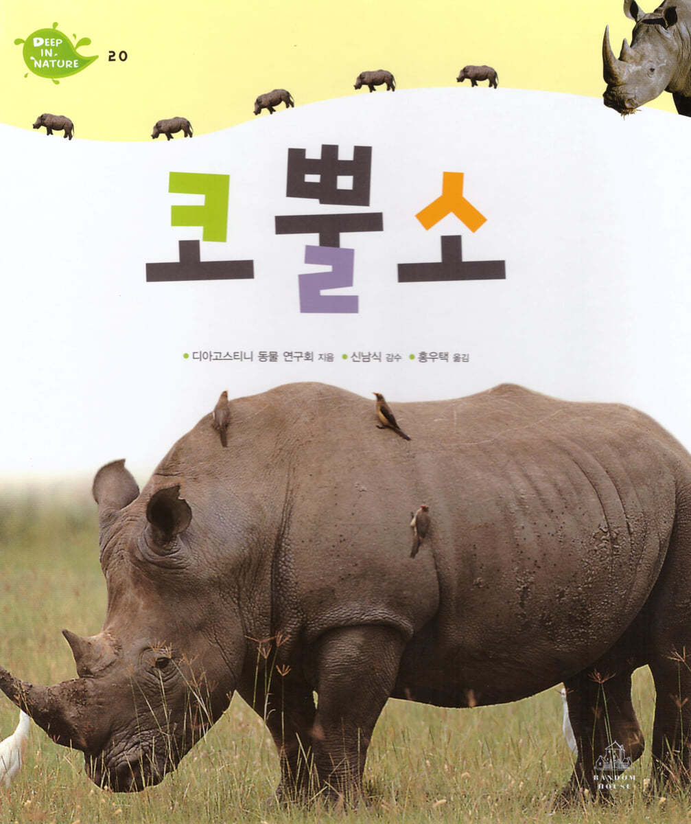 코뿔소