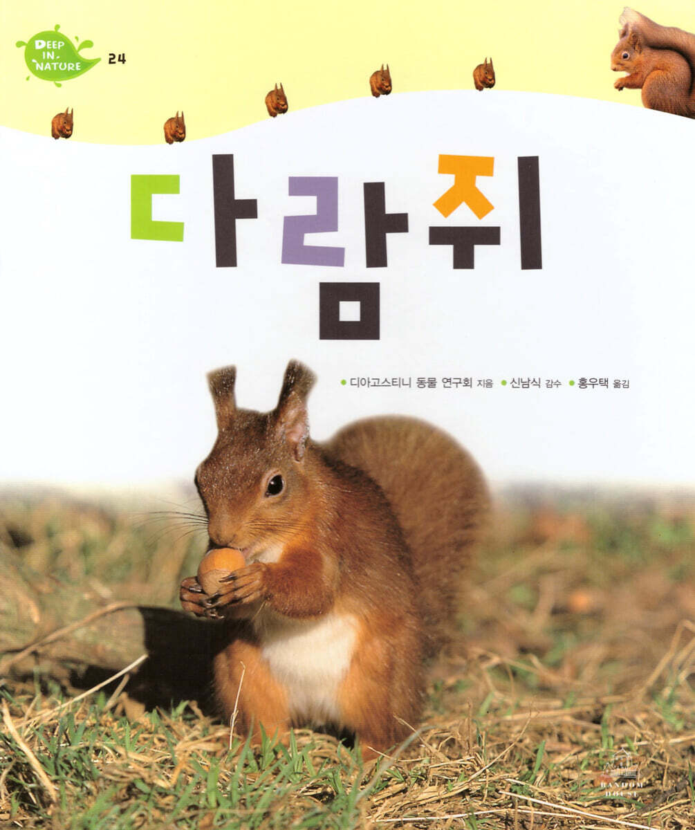 다람쥐