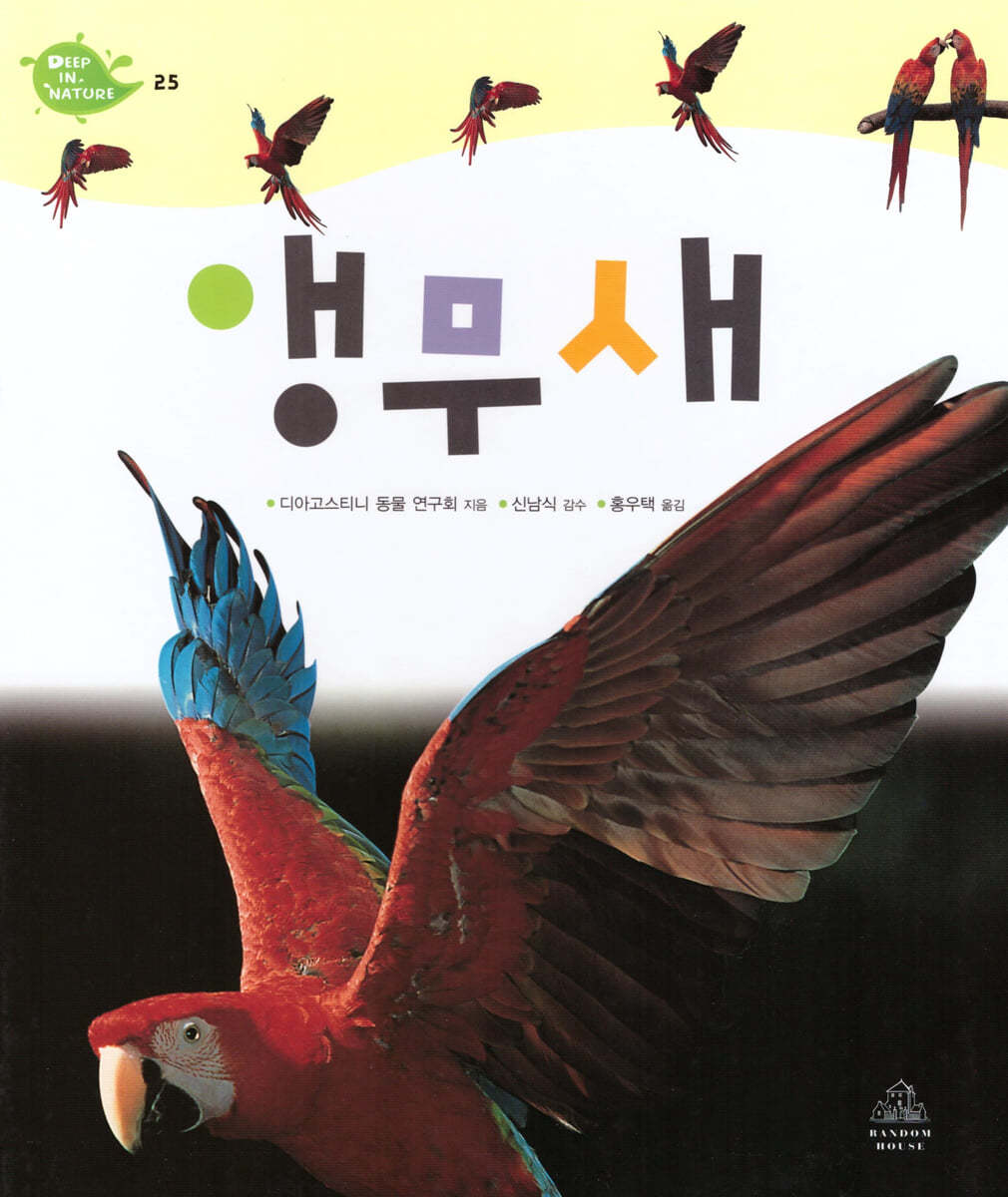 앵무새