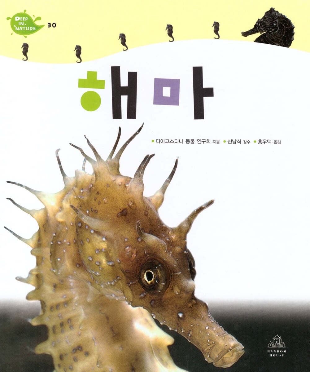 해마