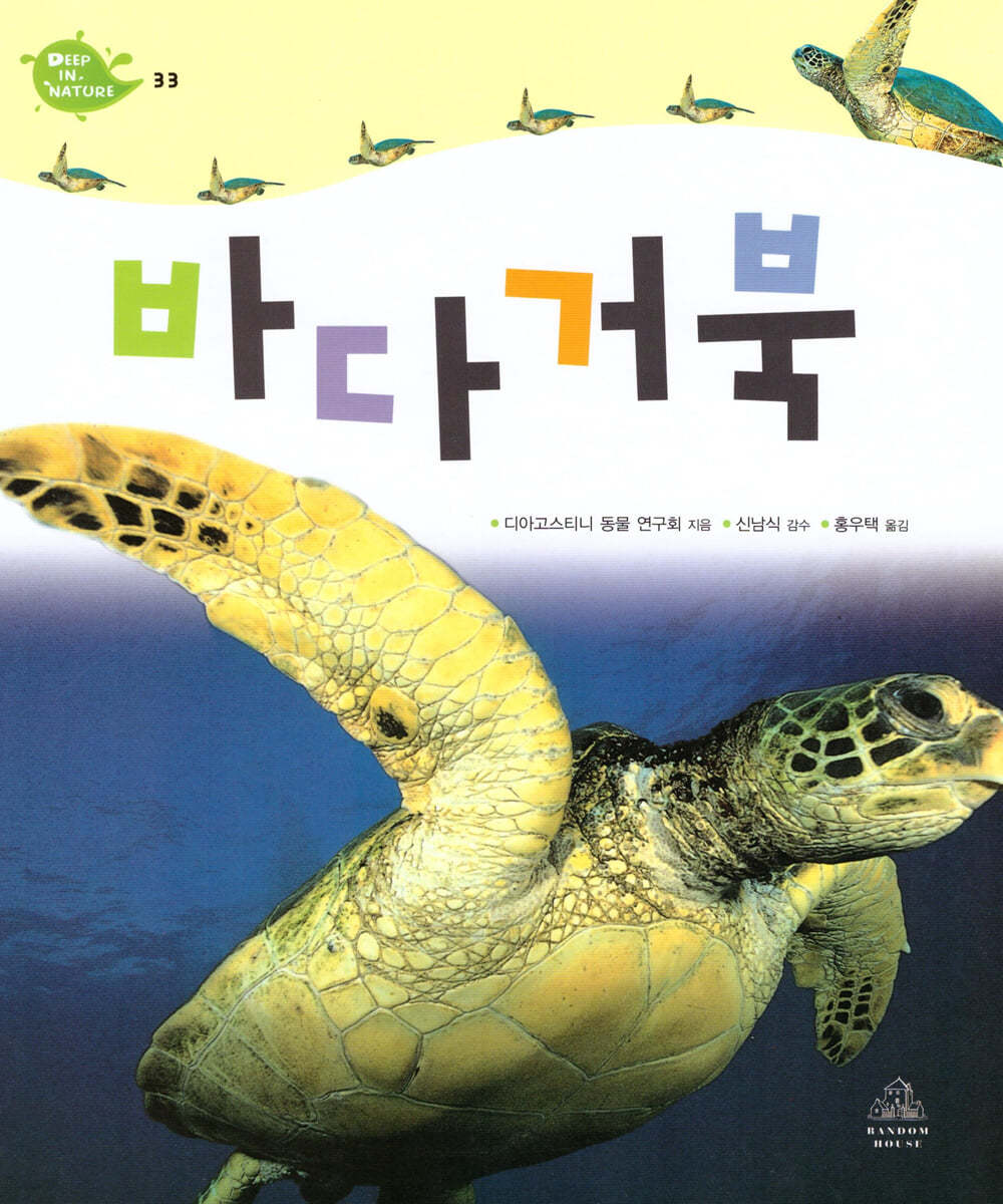 바다거북