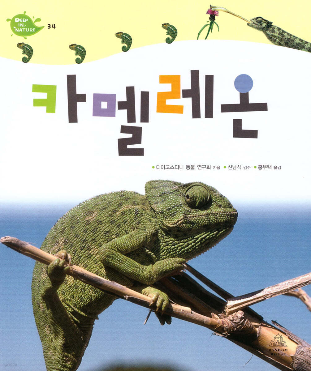 카멜레온