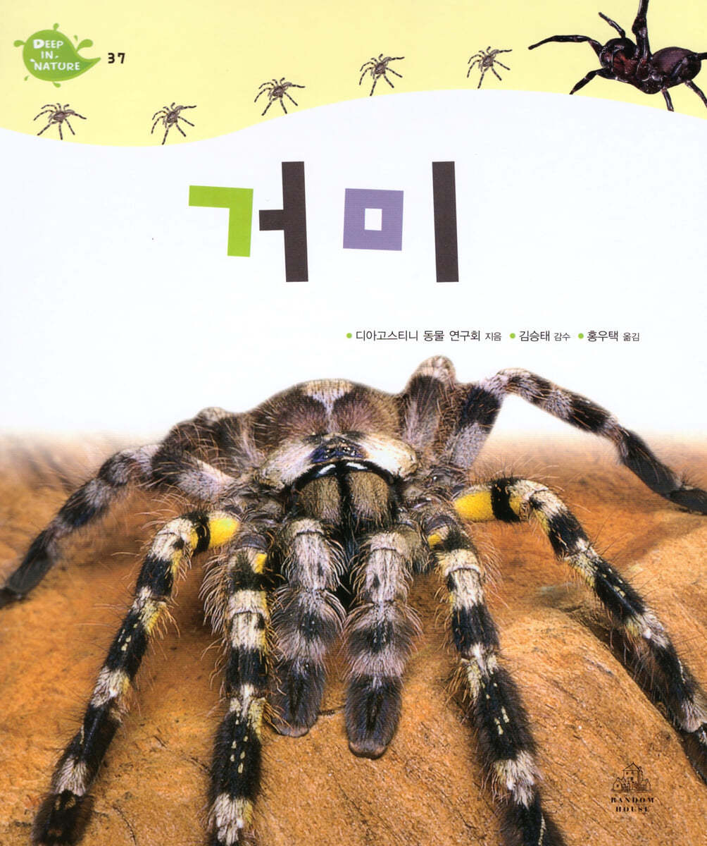 거미
