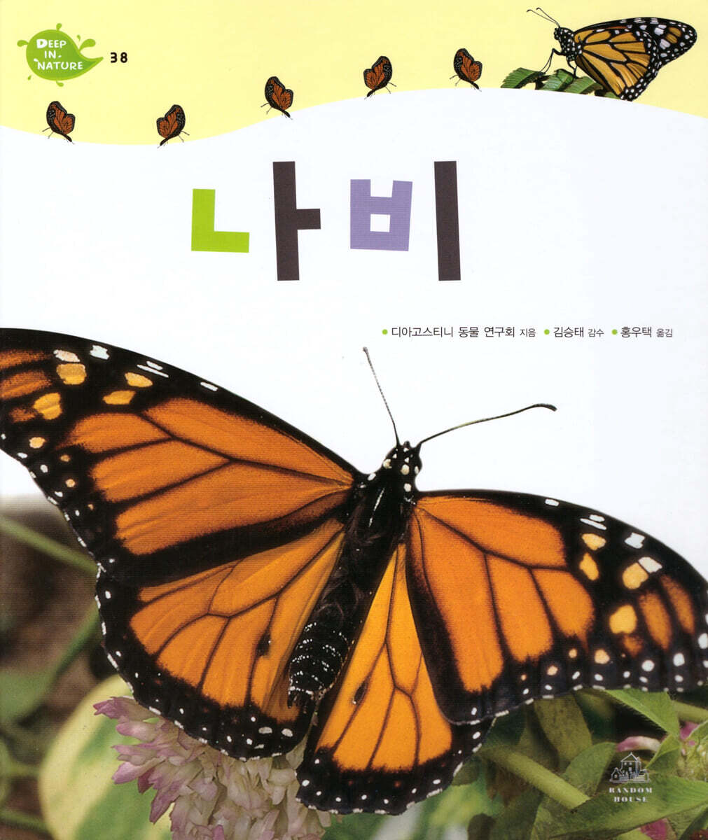 나비