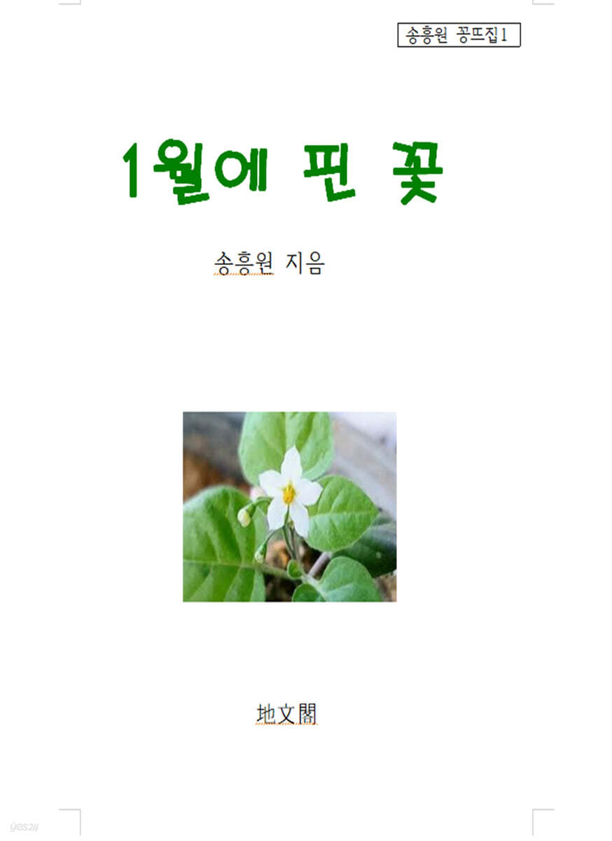 1월에 핀 꽃