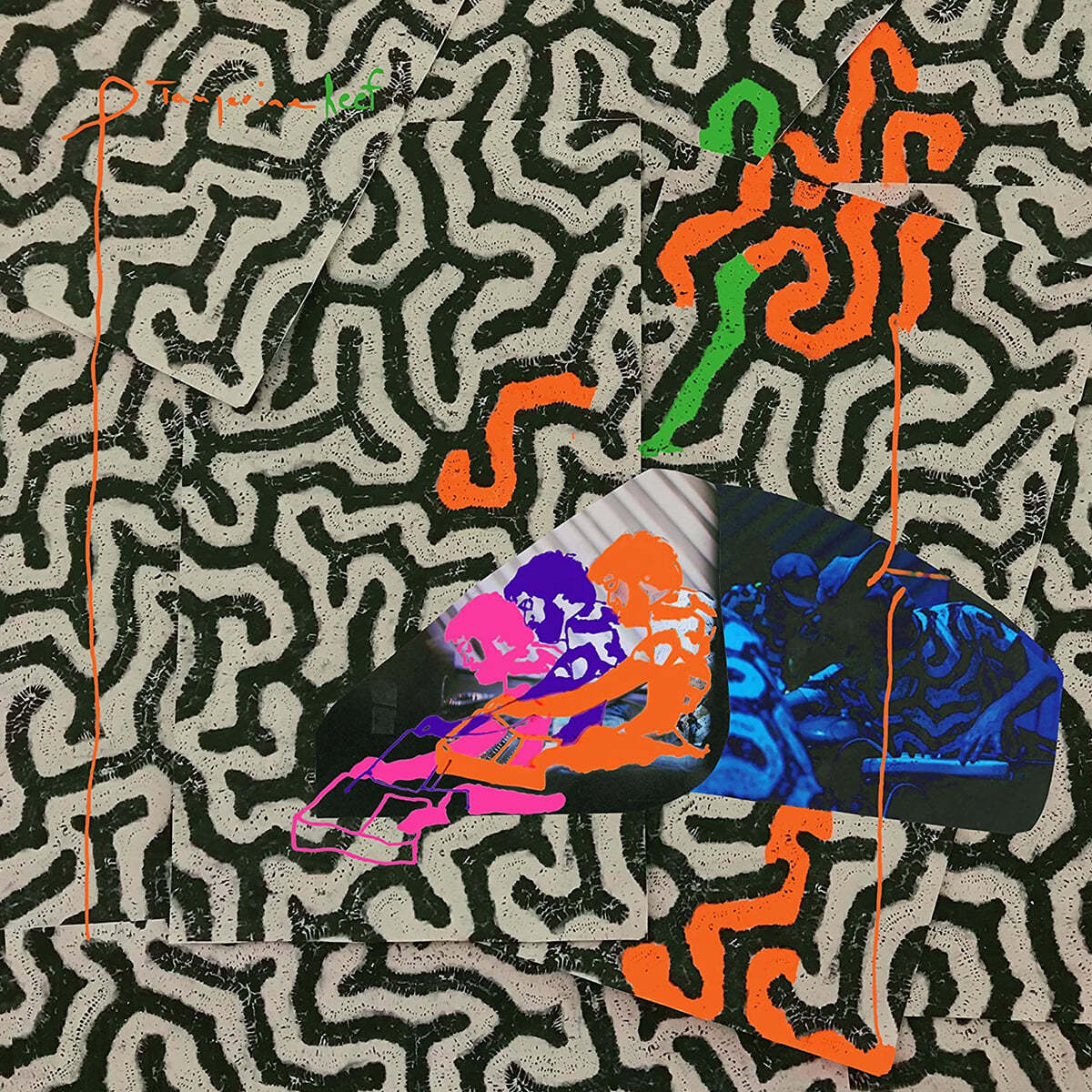 Animal Collective (애니멀 컬렉티브) - Tangerine Reef [2LP]