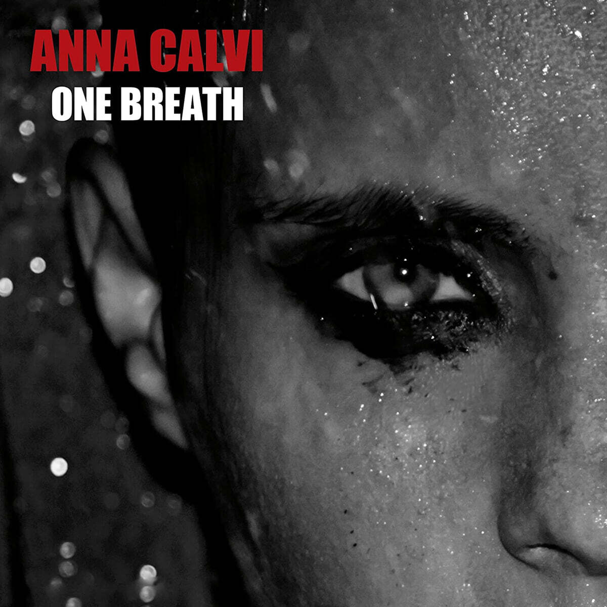 Anna Calvi (안나 칼비) - 2집 One Breath [LP]