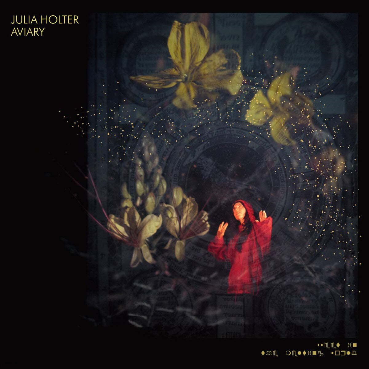 Julia Holter (줄리아 홀터) - 5집 Aviary [2LP]