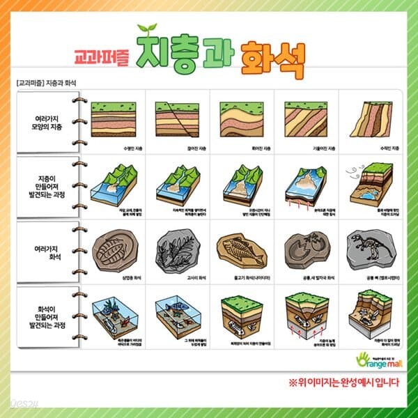 교과퍼즐 지층과 화석