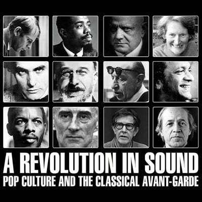    (A Revolution In Sound - Pop Culture and The Classical Avant-Garde) 
