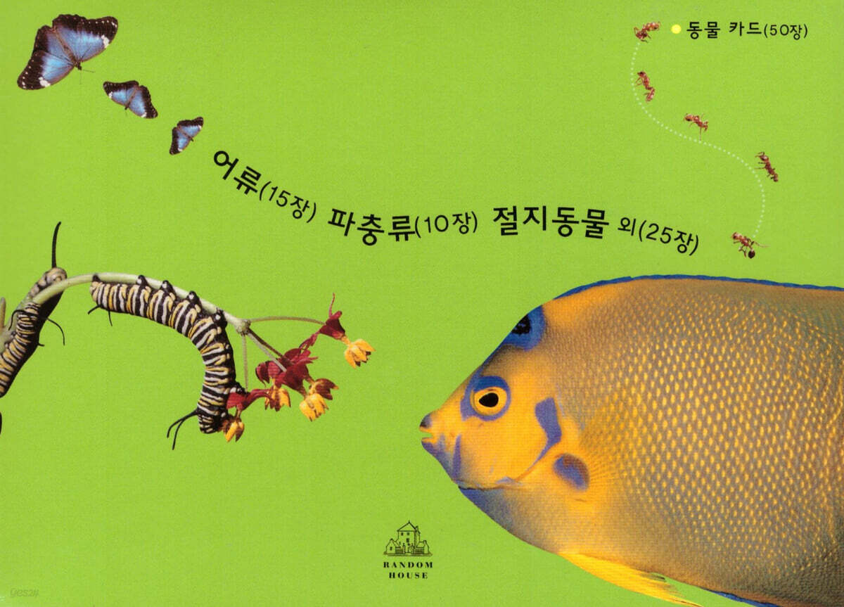 Deep in nature 동물카드 50장 (어류 15장, 파충류 10장, 절지동물 외 25장)