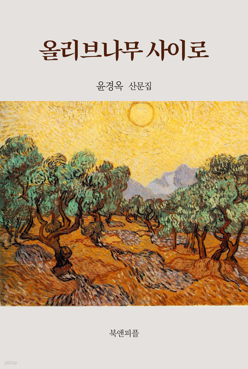 올리브나무 사이로