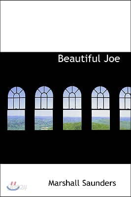 Beautiful Joe