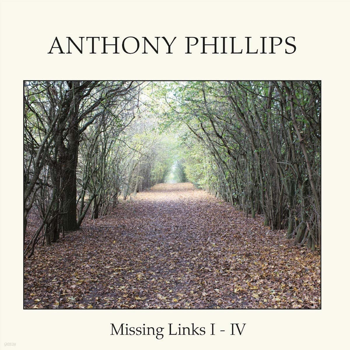 Anthony Phillips (앤소니 필립스) - Missing Links I-IV 