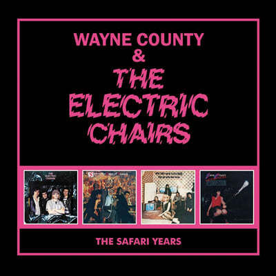 Wayne County / The Electric Chairs ( īƼ / ϷƮ ü) - The Safari Years 