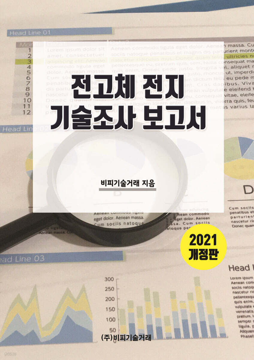전고체전지 기술조사 보고서
