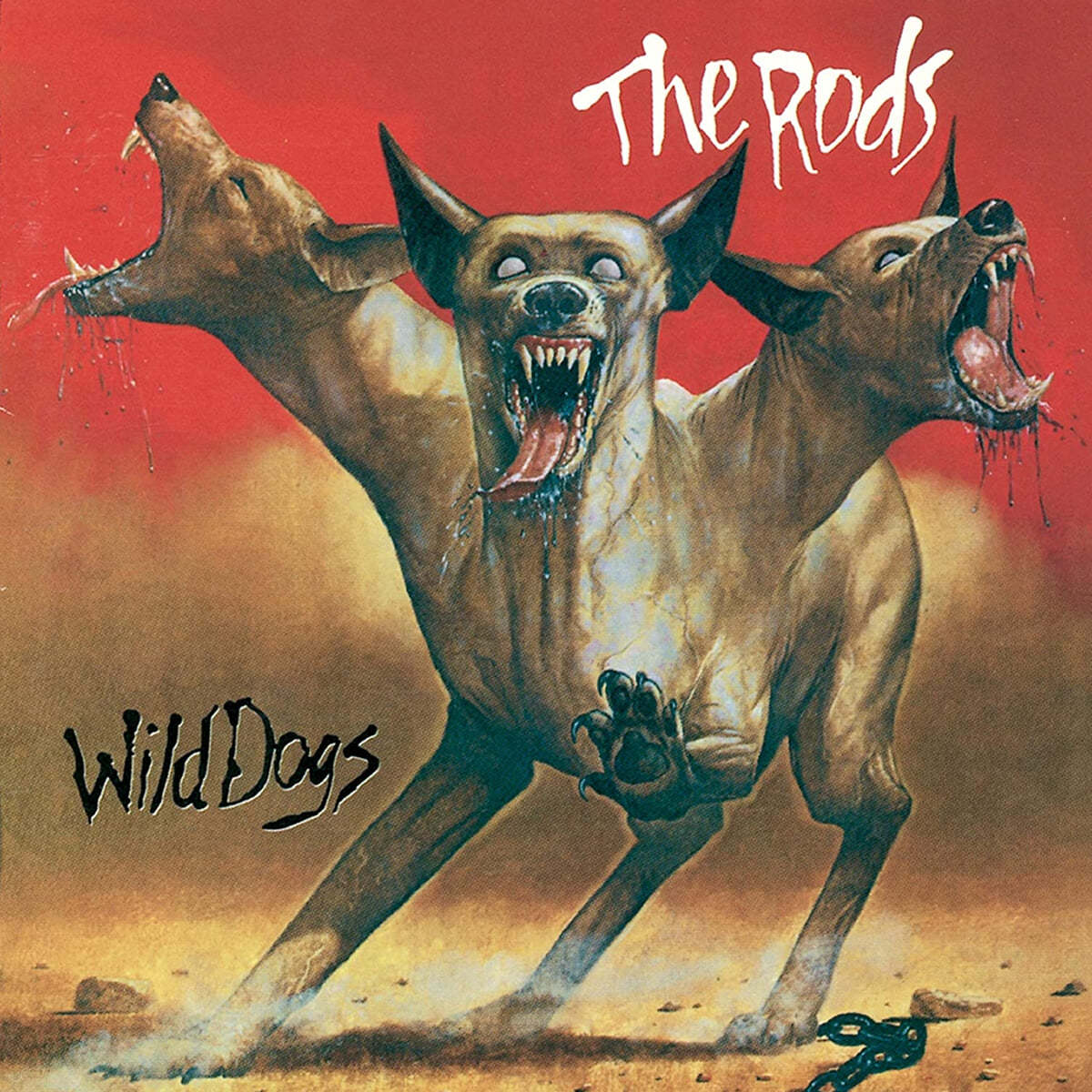 The Rods (더 로즈) - Wild Dogs 