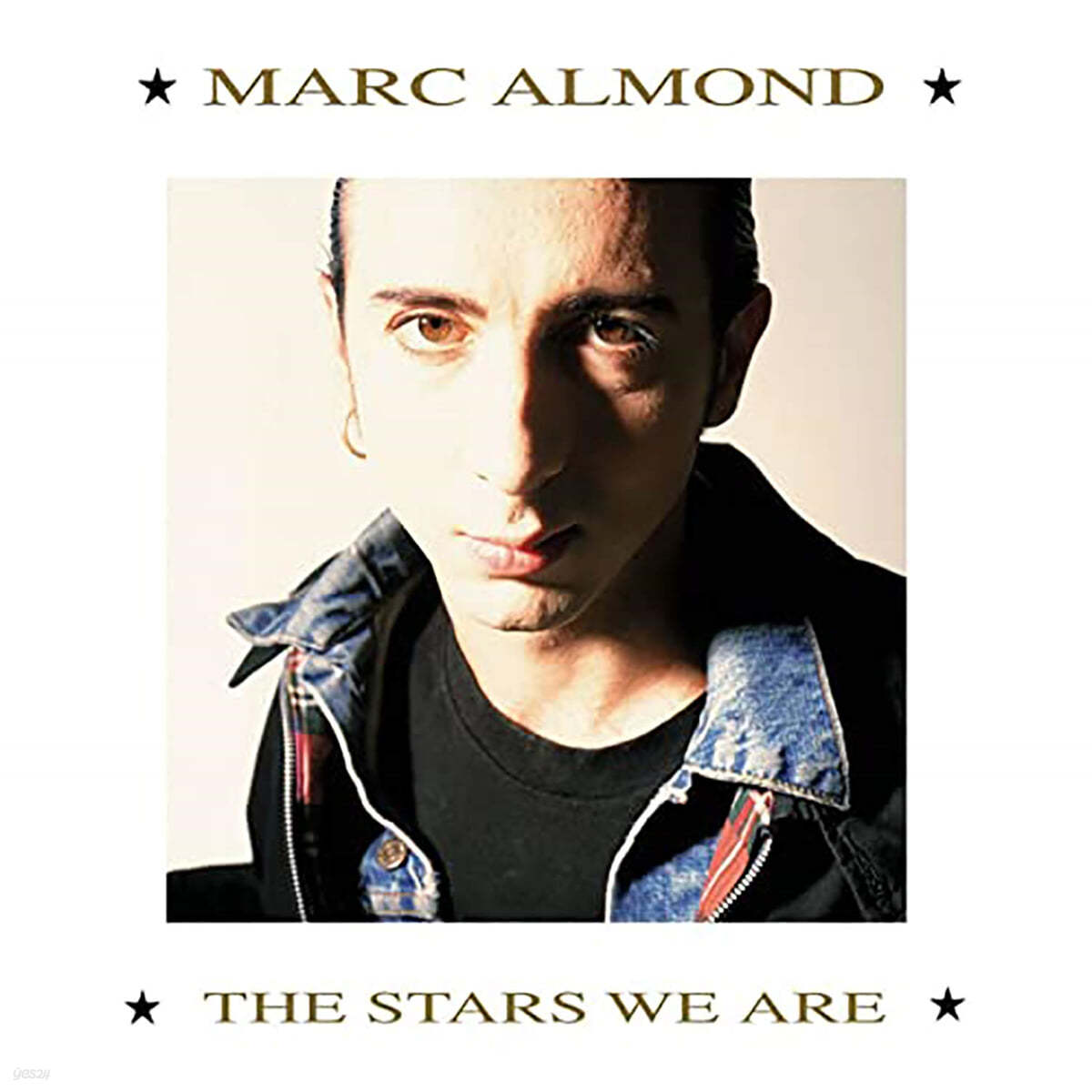 Marc Almond (마크 알몬드) - The Stars We Are 