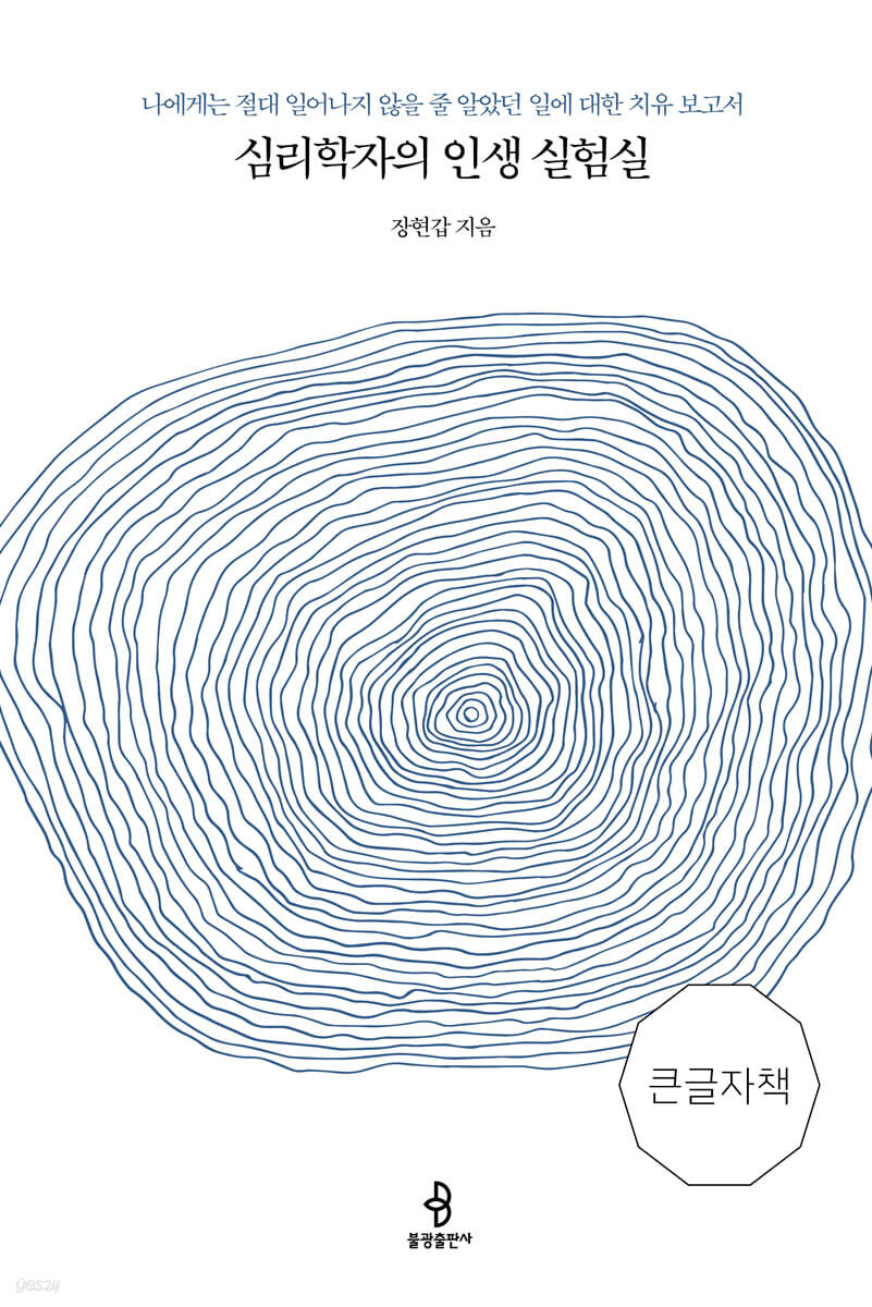 심리학자의 인생 실험실 (큰글자책)