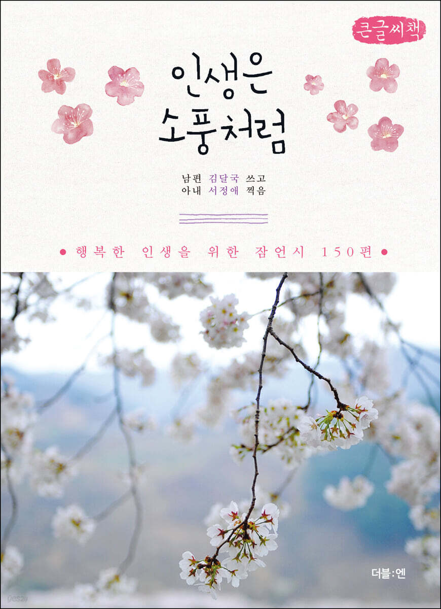 인생은 소풍처럼 (큰글씨책)