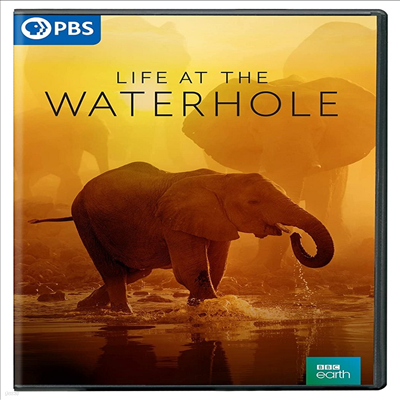 Life At The Waterhole (   Ȧ) (2021)(ڵ1)(ѱ۹ڸ)(DVD)