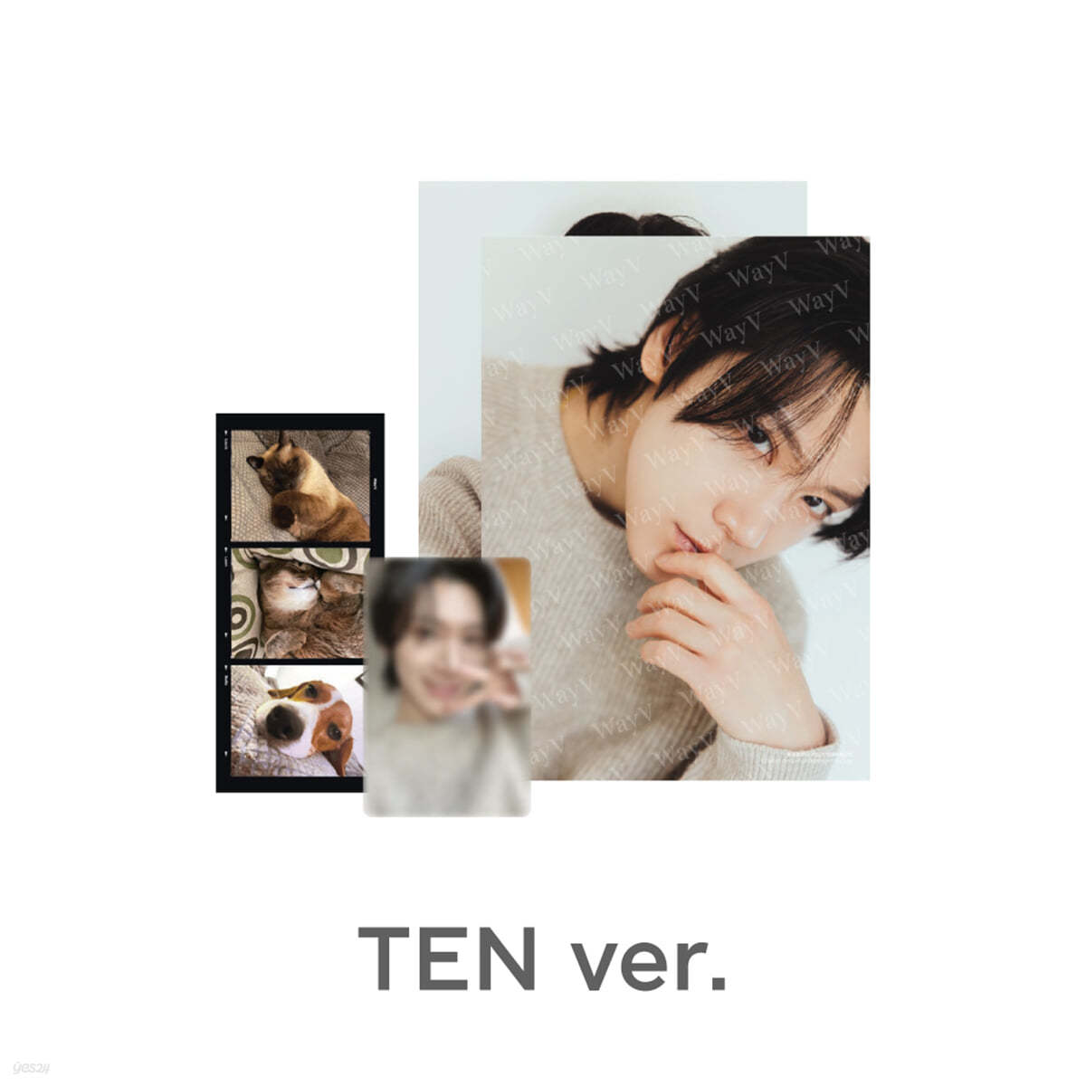 [TEN] PHOTO PACK [Our Home : WayV with Little Friends]