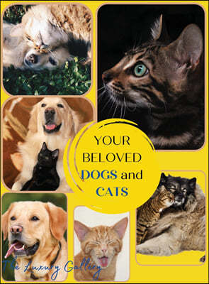 YOUR BELOVED DOGS AND CATS