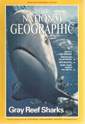 [수입] National Geographic Vol. 187, No. 1-6, Vol. 188, No. 1-6. 내셔널 지오그래픽 1995년 1월-12월 총12권