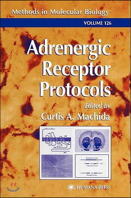 Adrenergic Receptor Protocols