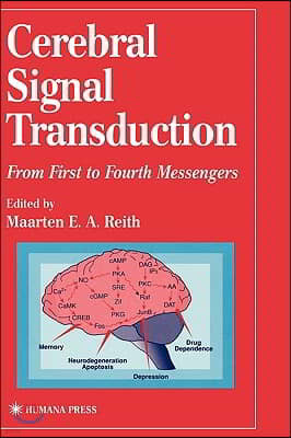 Cerebral Signal Transduction: From First to Fourth Messengers