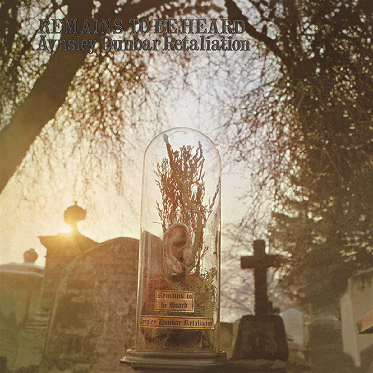 Aynsley Dunbar Retaliation (에인슬리 던바 리탤리에이션) - Remains To Be Heard