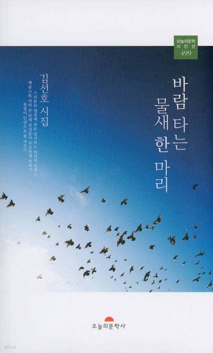 바람 타는 물새 한 마리