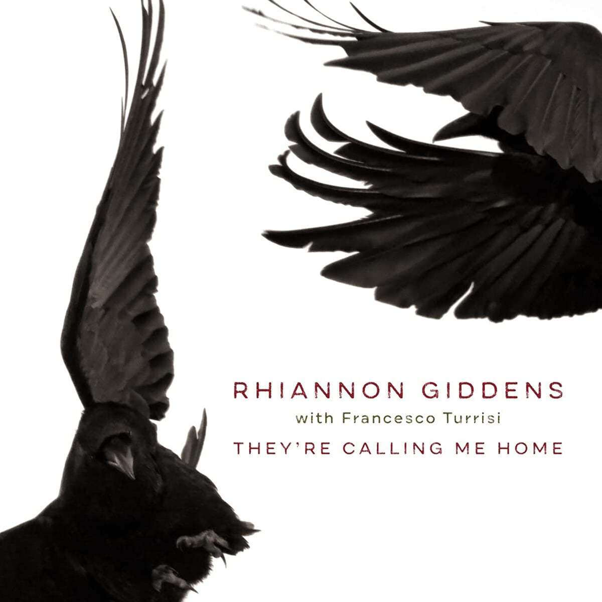 Rhiannon Giddens (리애넌 기든스) - They&#39;re Calling Me Home [LP] 