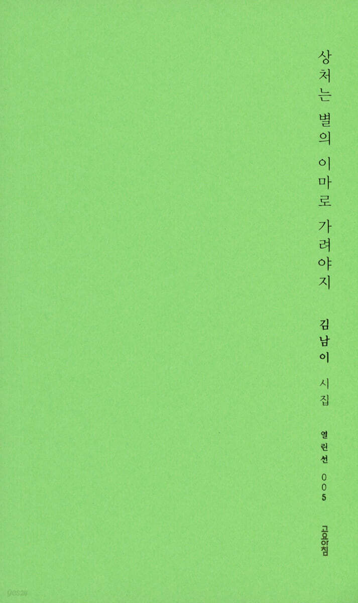 상처는 별의 이마로 가려야지