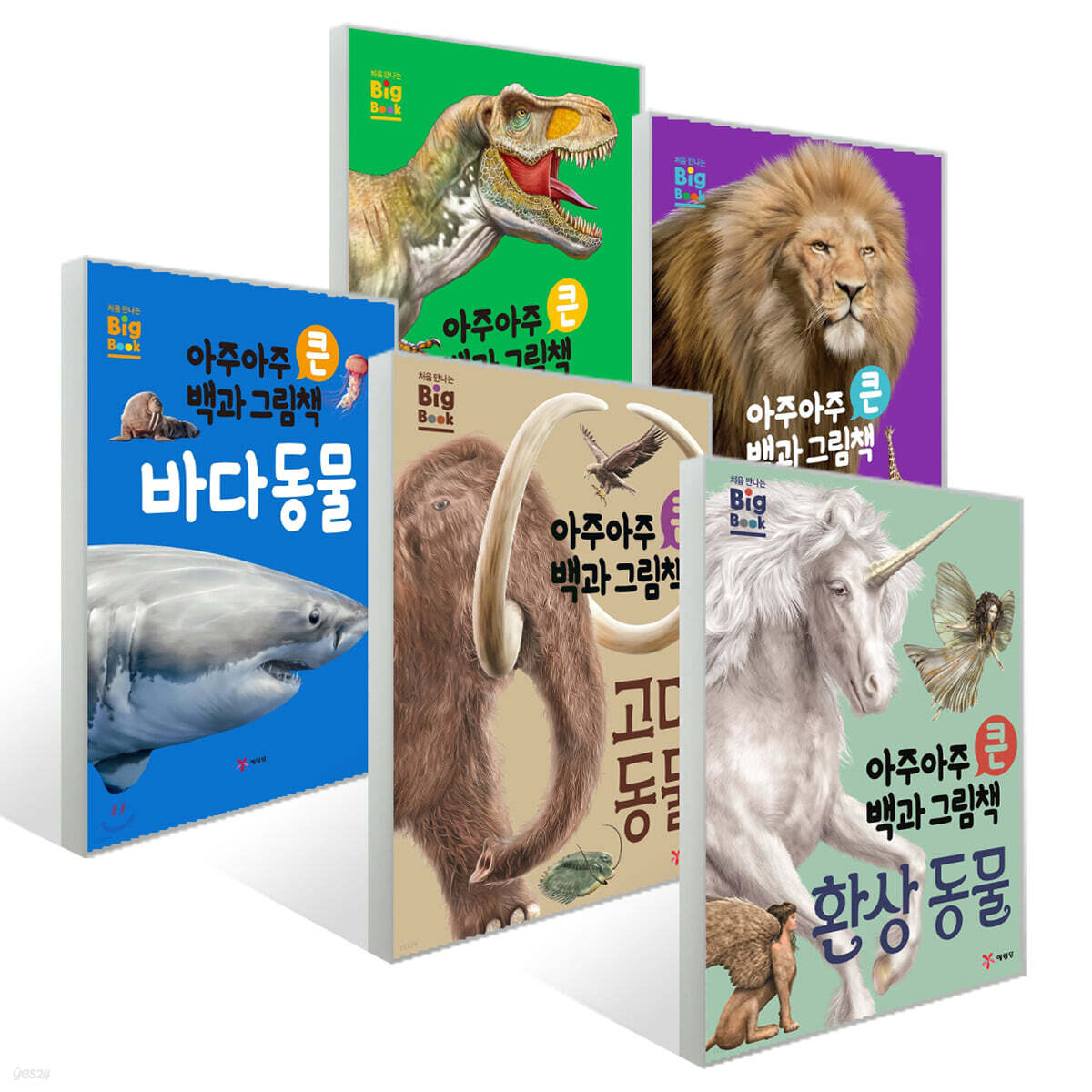 아주아주 큰 백과 그림책 5권 세트