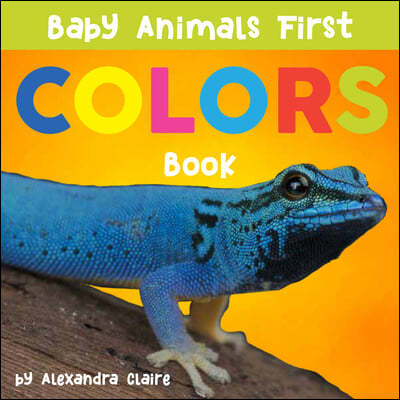 Baby Animals First Colors Book