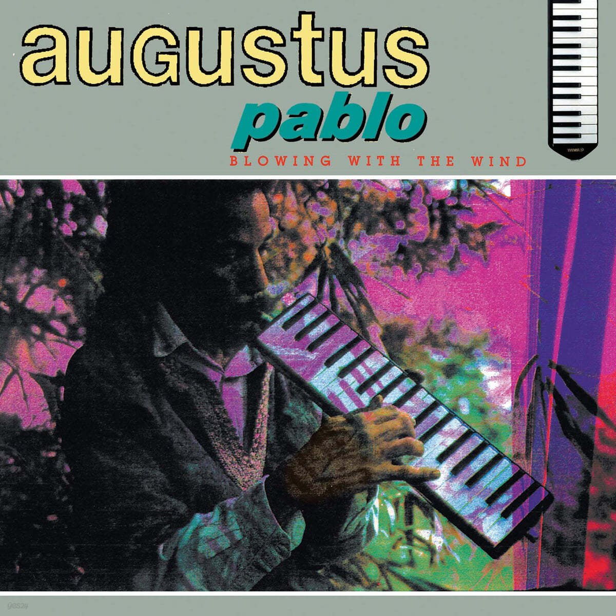 Augustus Pablo (아우구스투스 파블로) - Blowing With The Wind [LP] 