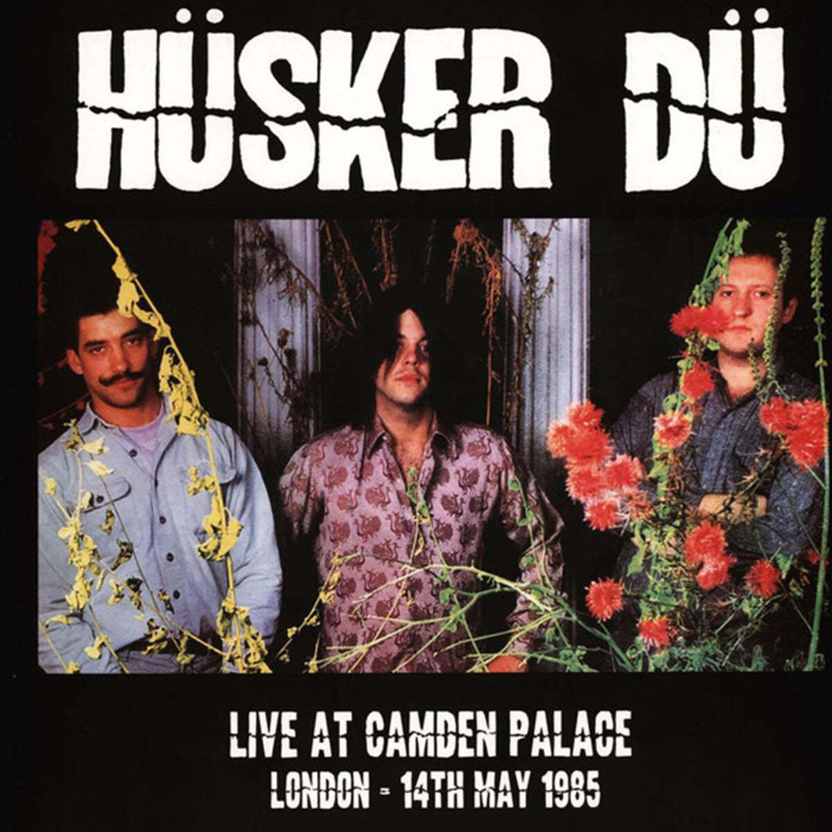 Husker Du (허스커 두) - Live At Camden Palace : London 14th May, 1985 [LP] 